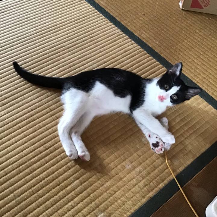 8c86b765 86e6 4589 9500 ecb5cfda632d 1625643923818