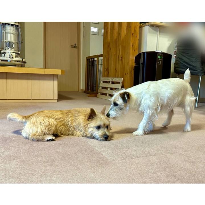 8c870423 61d3 4432 b070 ee98e4ab5876 1711676049289