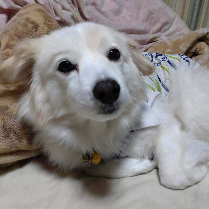 8c871876 191a 4042 a6ec 0cb78fc1868a 1646089086072