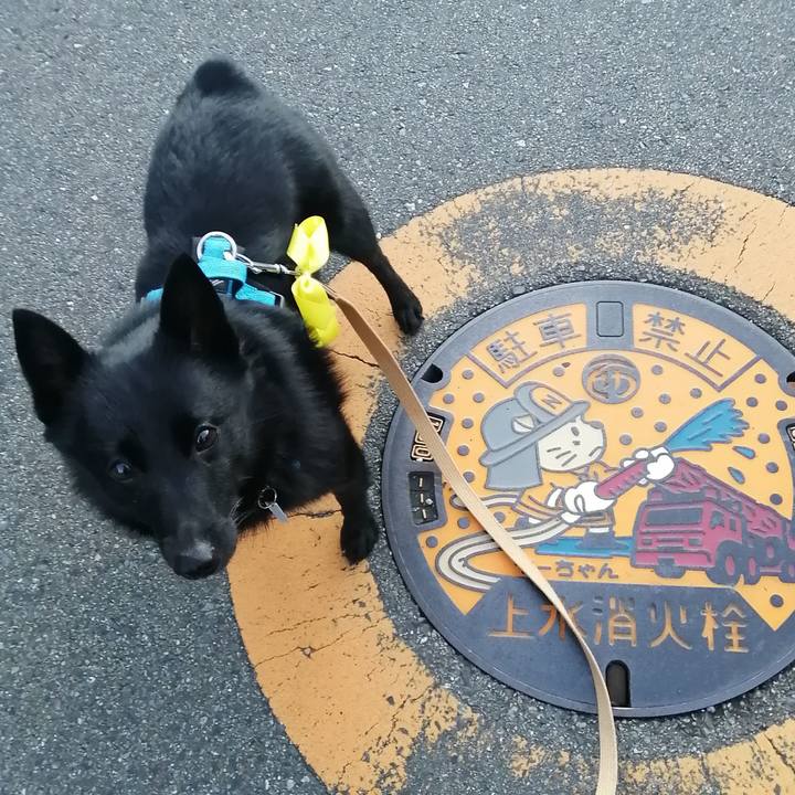 8c872935 4b8b 435d b608 d15f29c16701 1639346223294