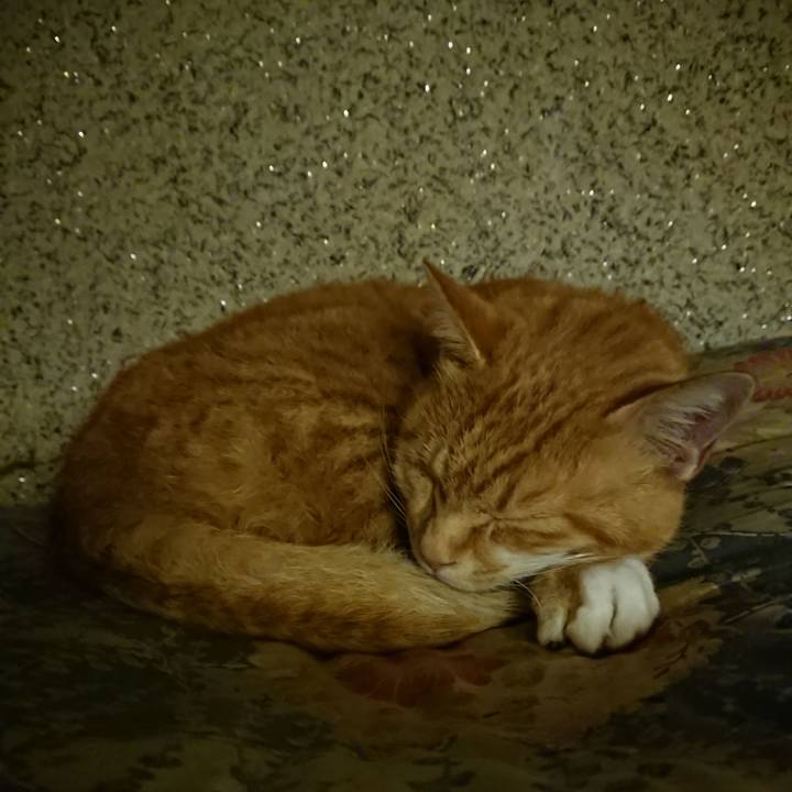 8c8747b6 fce5 458f 8449 180fd7fcb8d2 1602933685768