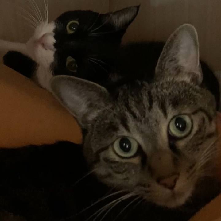 8c87508e 7652 4b1d a4f2 29f4cf483bb0 1605608437019