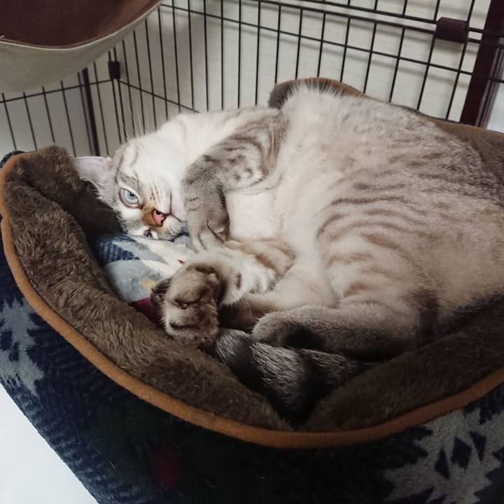 8c876dae 99a5 4582 bfd1 2f734d465554 1538148207001