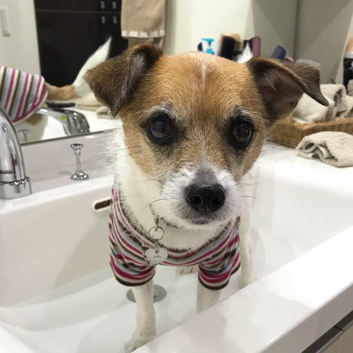 8c87c8ec f411 40a2 8d43 ff4804c50f91 1544933996315