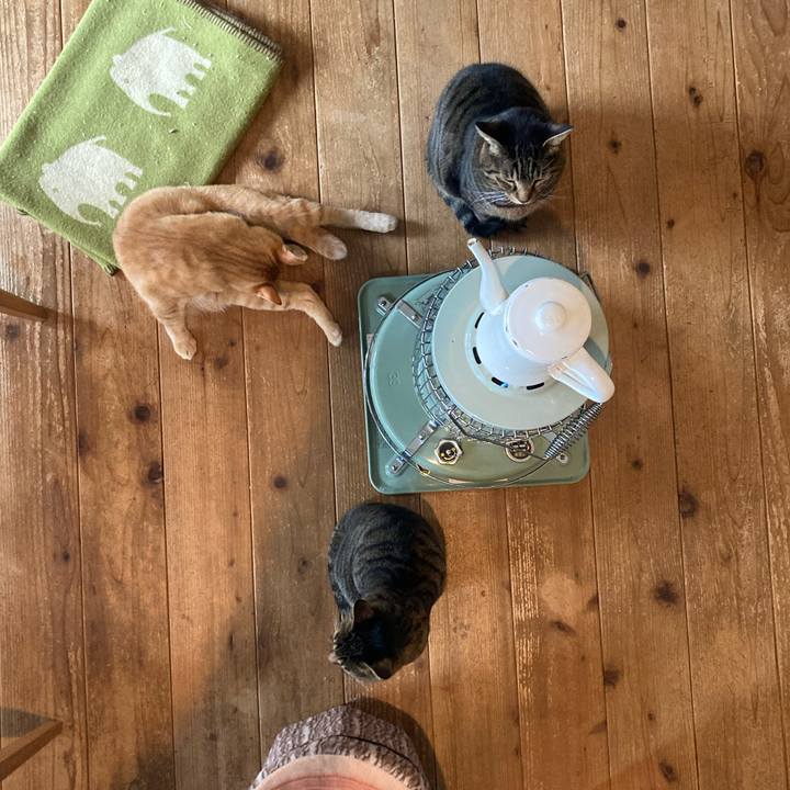 8c87f819 2faf 42c2 92eb 786b97114fa4 1770427075938