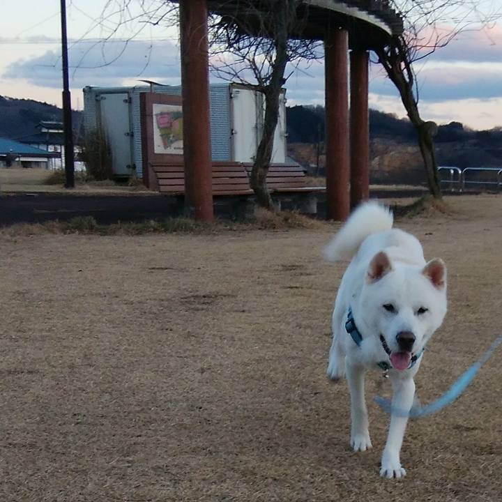 8c8810f4 15b6 4dc1 9bca ba2700d562f5 1546596188185