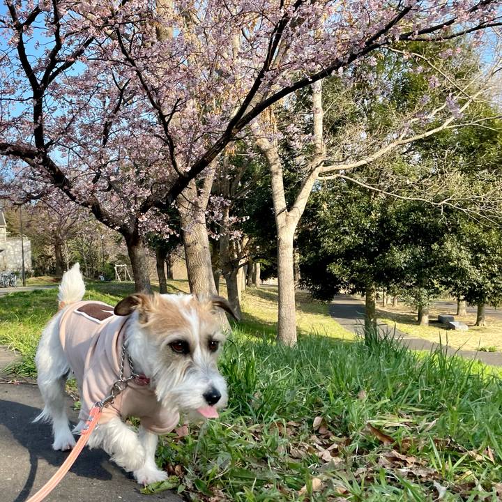 8c882ec3 a99c 4587 9d79 234bc5996a94 1648109947252