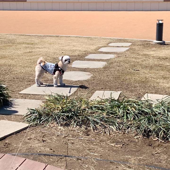 8c88381a f12b 4b11 a40b 7b162b03e363 1554291444948