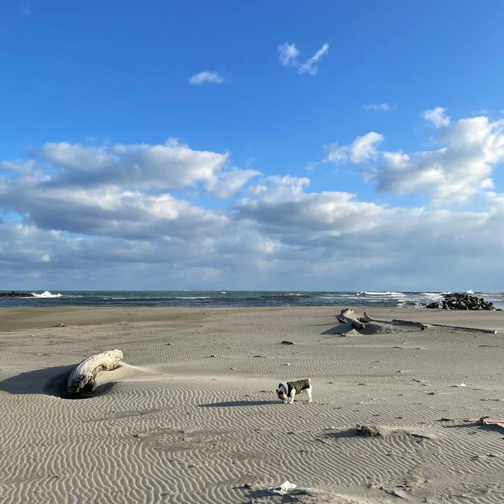 8c88392c 81ec 431a ace7 0b4a610bf07a 1614209646246