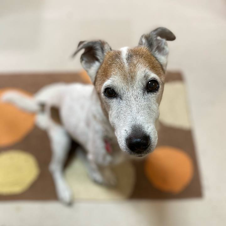 8c883c02 3b26 4728 9915 d9499f06a4fa 1605738187033