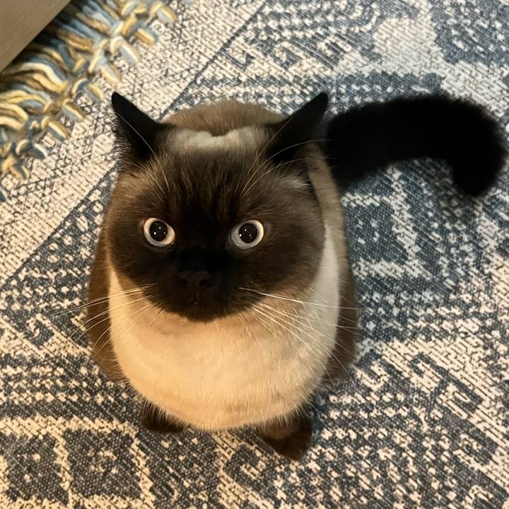 8c885528 08ec 40fe 85ce 73f9d4b36566 1638271323246