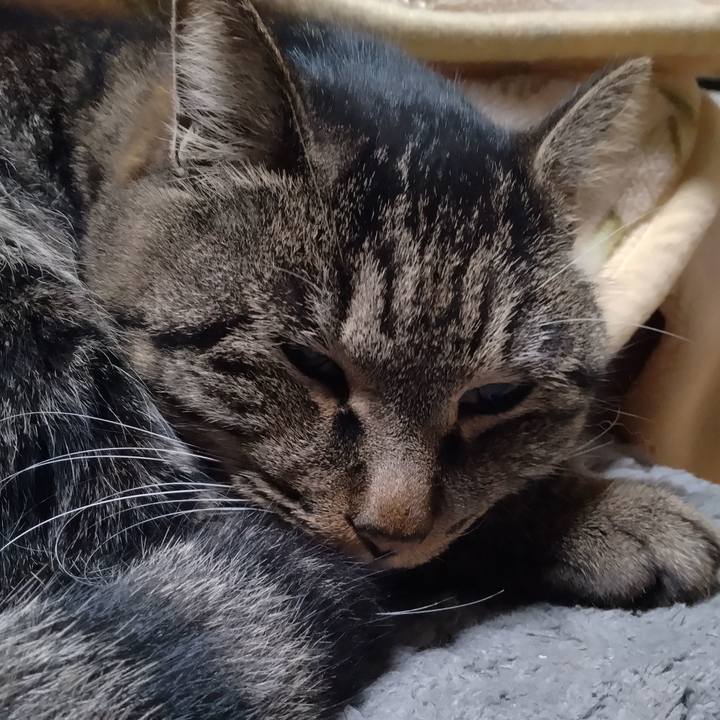 8c887cd2 60b3 4475 becc f5e3afa661bf 1672315041976