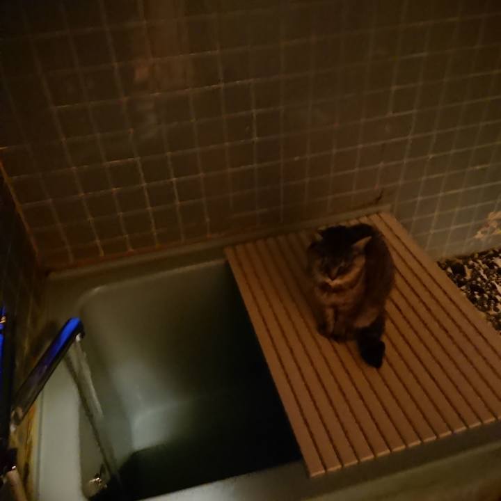 8c889507 85dd 4e7c 8a5c 8e2dd795e25b 1572164376739