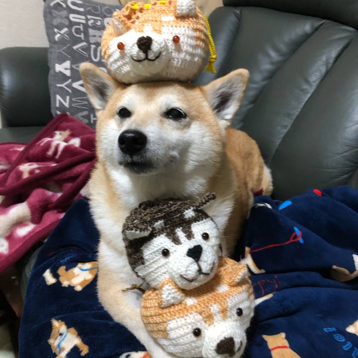 8c88df44 a642 403f 87bf d8beac444741 1605344574195