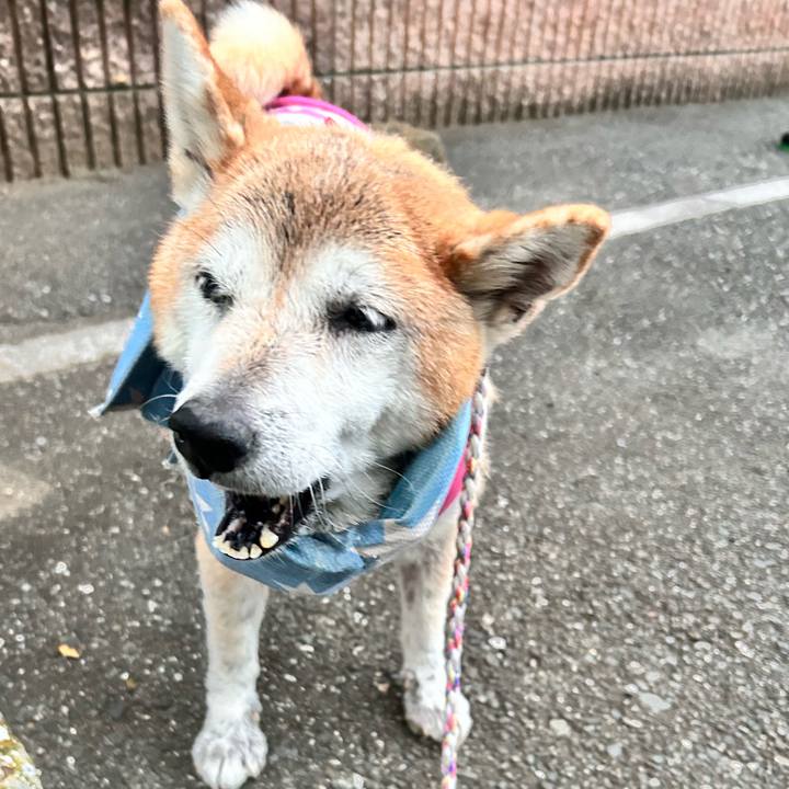 8c897e09 6640 4516 acd2 92d773e0cb87 1763452315452