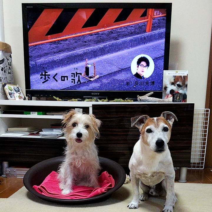 8c89a4b9 e218 44a1 830a d983c61273b6 1568844683196