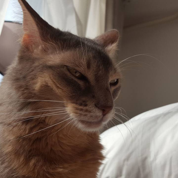 8c89ab98 bfbf 42be bfb6 f79a722a5609 1576372285704