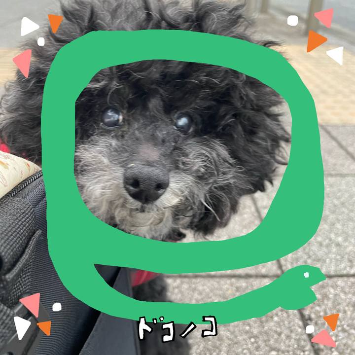 8c8a0ab4 904e 4d8b 848c 115507e7d764 1741420011029