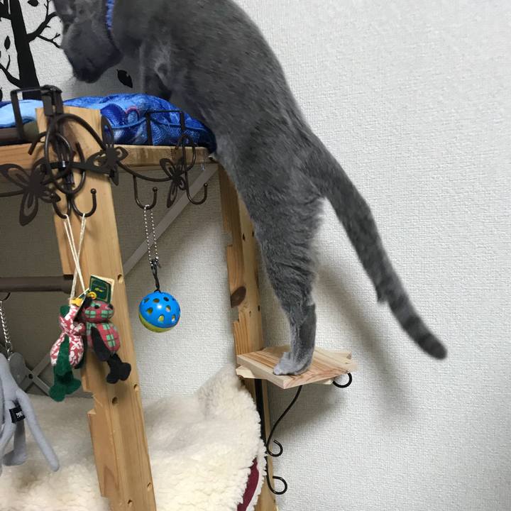 8c8a5bd1 0520 4305 a295 ec8e7d45c9a2 1508164962313