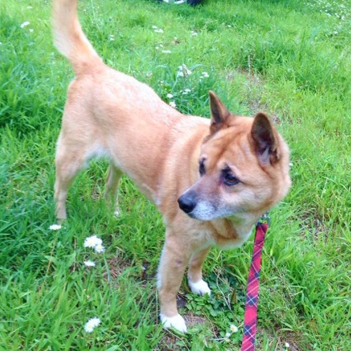 8c8a982d fdba 4499 bb7d 5c11c178f134 1572132850262