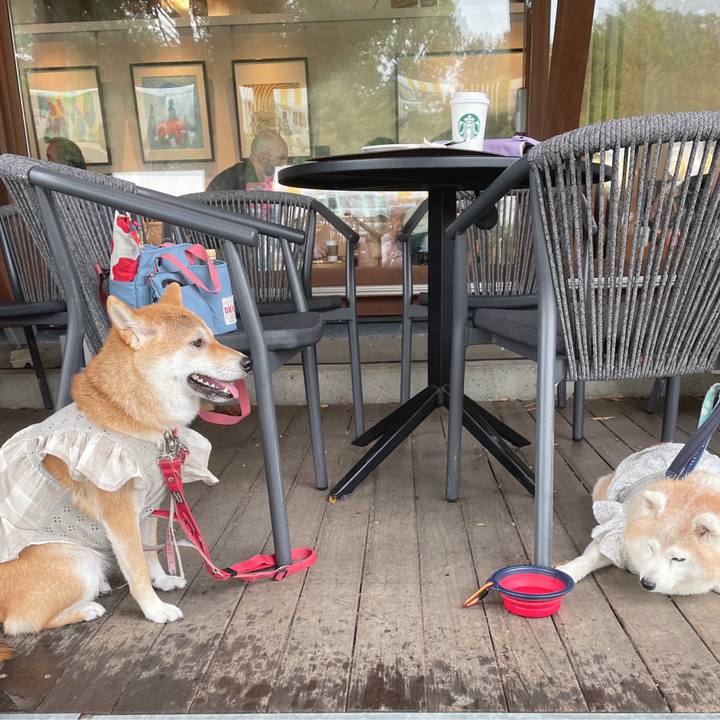 8c8aca6b 6d7b 4a1d ad86 d34e7e32f938 1726977294949