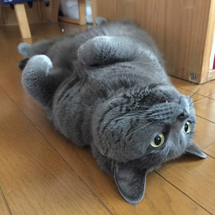 8c8af27a b216 443b 8125 7051ad56e1ff 1523484362770