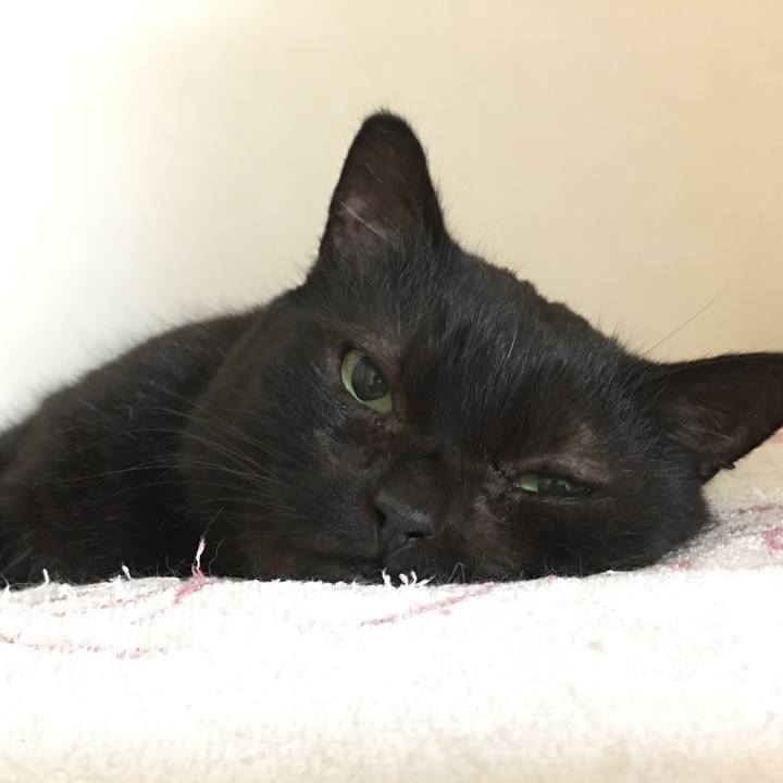 8c8afaeb af39 4568 b884 e3ac18c6f296 1507950634268