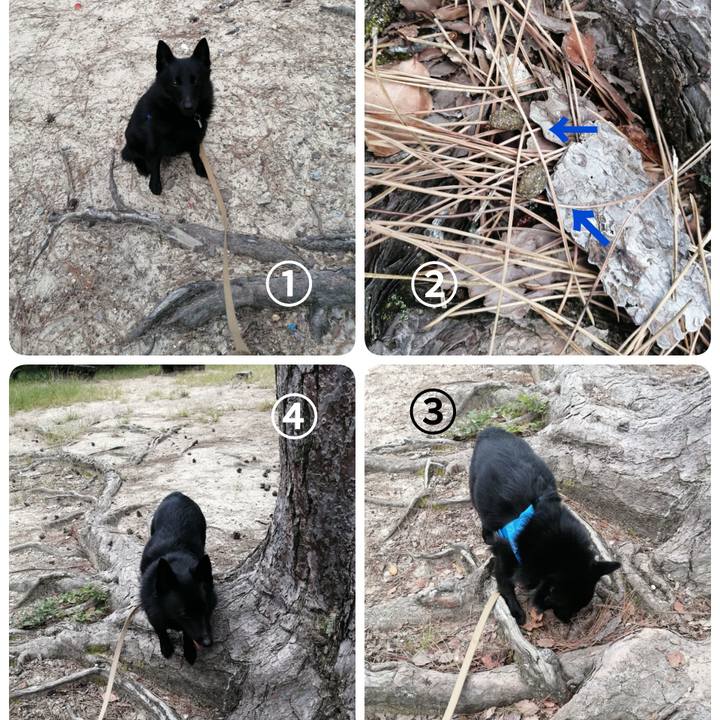 8c8afbe7 0116 4c5f 9ee1 59b8d56b18f8 1632615304796