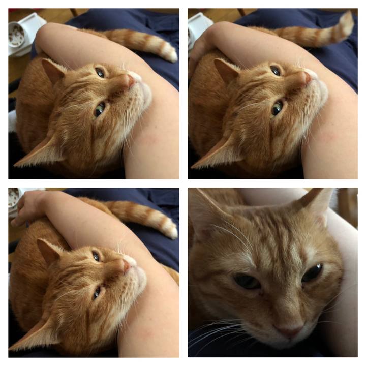 8c8afdfe 693b 4914 9834 b385abdbb7c7 1617397686391