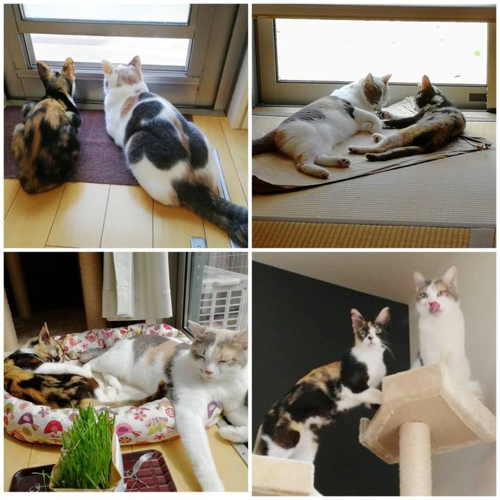 8c8b0ab1 a637 4b36 b5b5 83936e9bb645 1596343201443