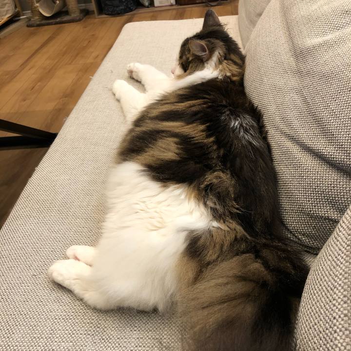 8c8b29a0 152e 415f a5f2 7cb59ddc52ae 1623071783084