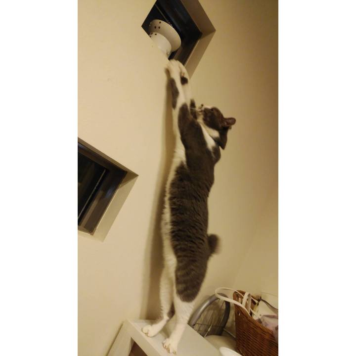 8c8b2de6 47be 4866 9e0b 69b247d8c3c7 1626088610144