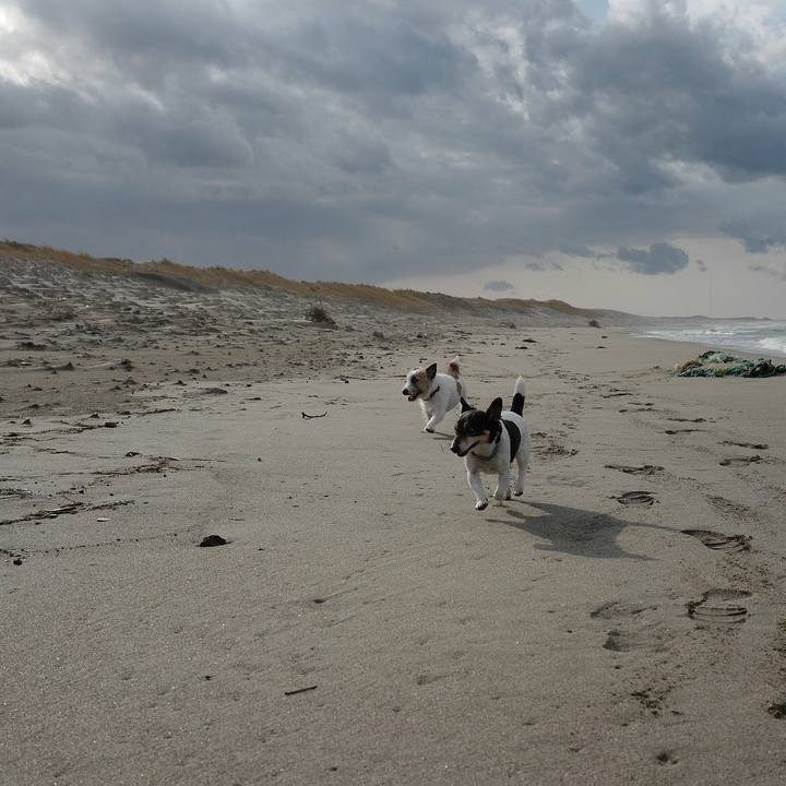 8c8b4bac 916f 47b1 8ab1 4f95b879dd09 1545366040217