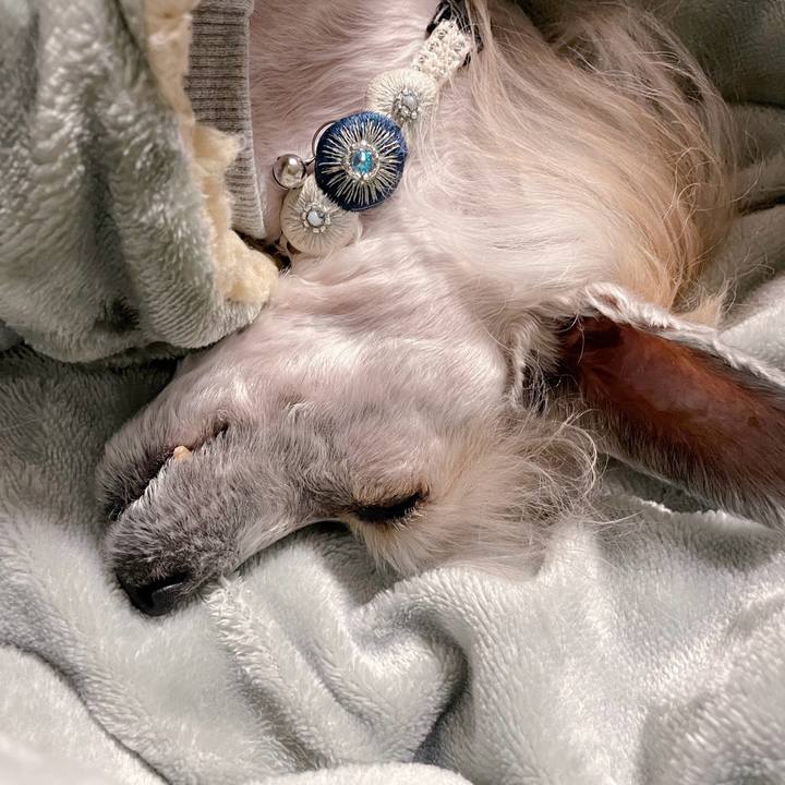 8c8b72ec c9f2 44d3 895d 80a7b2018050 1767865300029