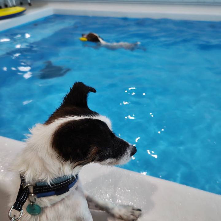 8c8b8565 5142 4cdc b5ca c5a618ee739f 1726928744117