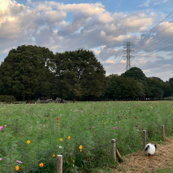 8c8bbafe 5f4b 497c 9bb6 869e3e0ccedd 1569937686786