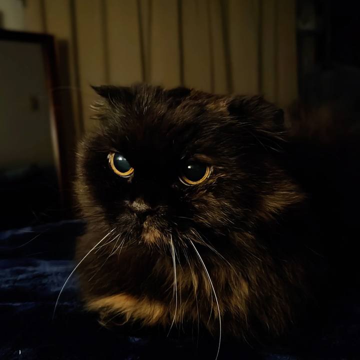 8c8bd11f 6f91 4e40 b8a8 fea8c4938228 1764036041479