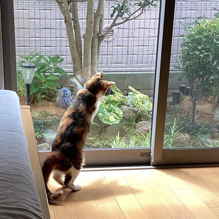 8c8be027 43fa 4ed6 8f47 0af8992c5559 1660527740563