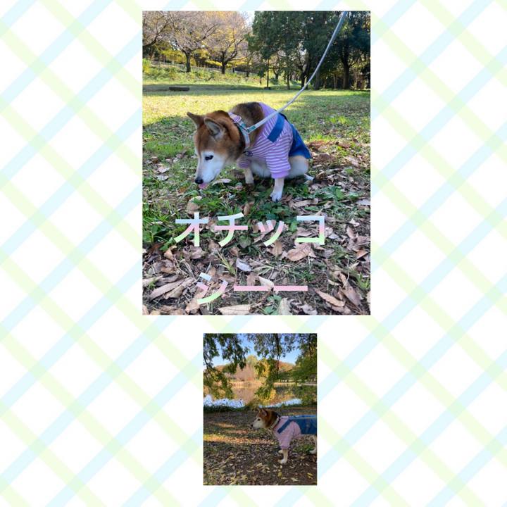 8c8bf2e9 aa25 4f6b 80a1 e7844d638ace 1763266189138