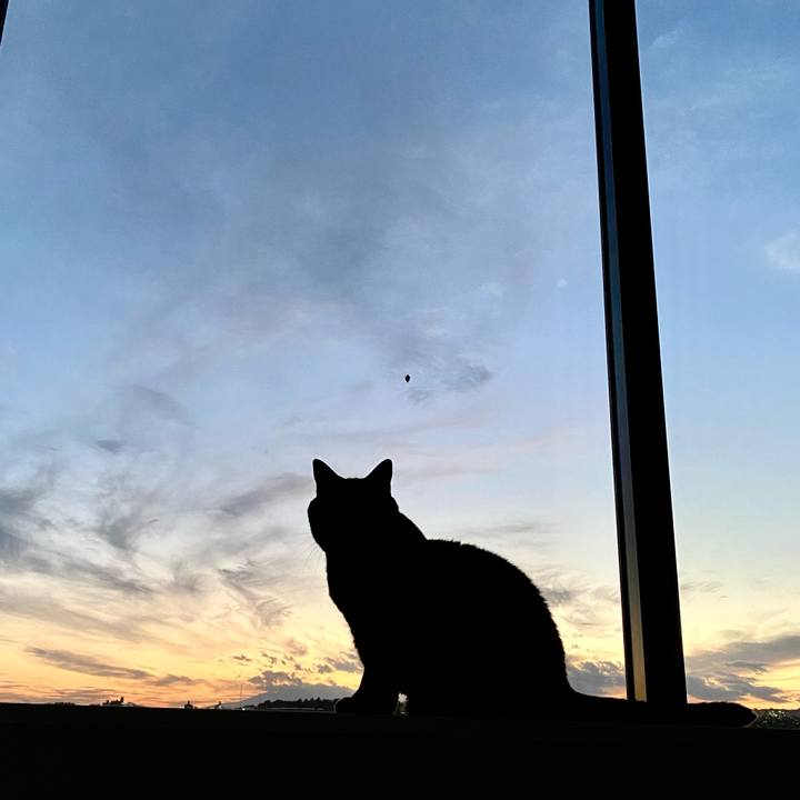 8c8bfc82 53cd 4e73 aa63 f8e5eeec43cb 1698048793810