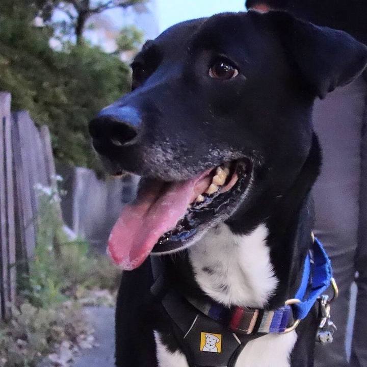 8c8c14ea 337a 45ad ba71 7ff25239c786 1650709524196