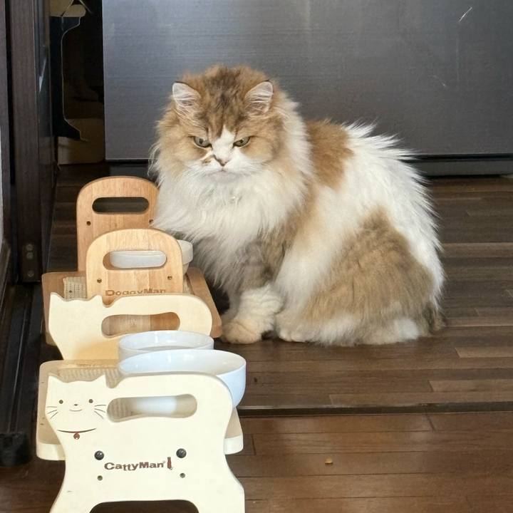 8c8c39a6 9a10 41a0 b61d 6f465aa0a3b6 1772846602350