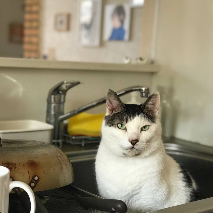 8c8c4166 fcb0 4e56 972e 57f08ce26574 1511748469818