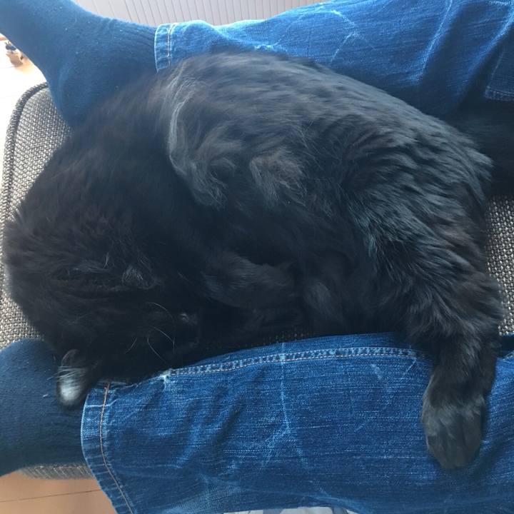 8c8c5084 ed6f 4fa0 a5df 1d9f2940a1b2 1518853033371