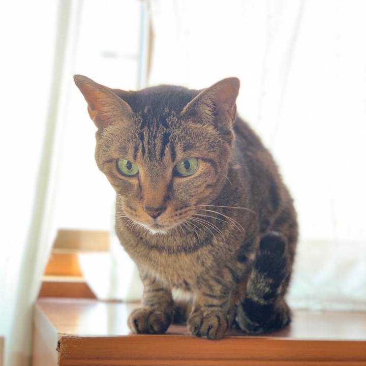 8c8c54ba 7951 4d6c bdf8 608f02fc7564 1590888453457