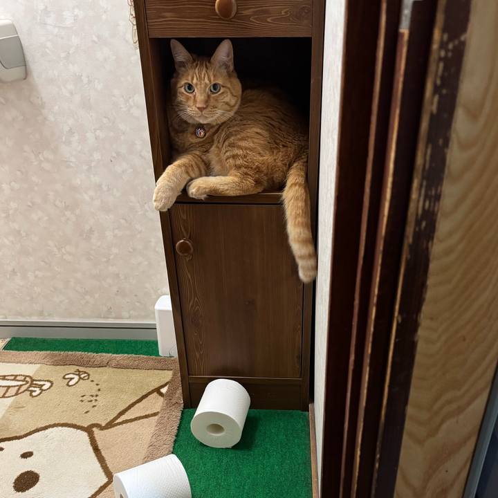 8c8cb850 bf58 4e87 abcd 63fce3edca31 1762547933081