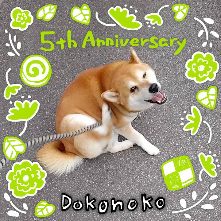 8c8cf99e 1e3f 4032 aa90 af5297af891d 1622878962810