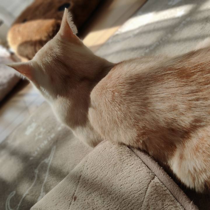 8c8da541 487c 490e bff6 1a80a0b84f00 1678150976965