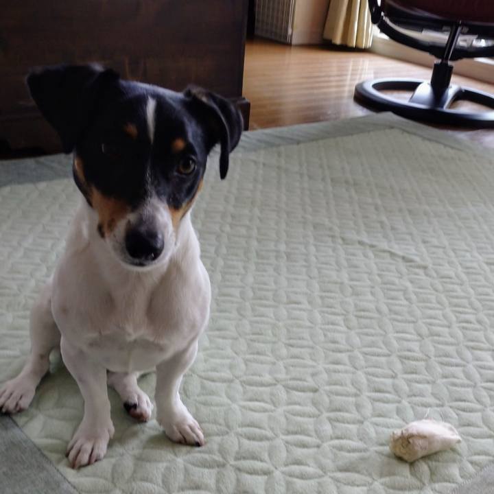 8c8db225 b7cd 4bf2 abe6 925d2f32ce68 1591064580029