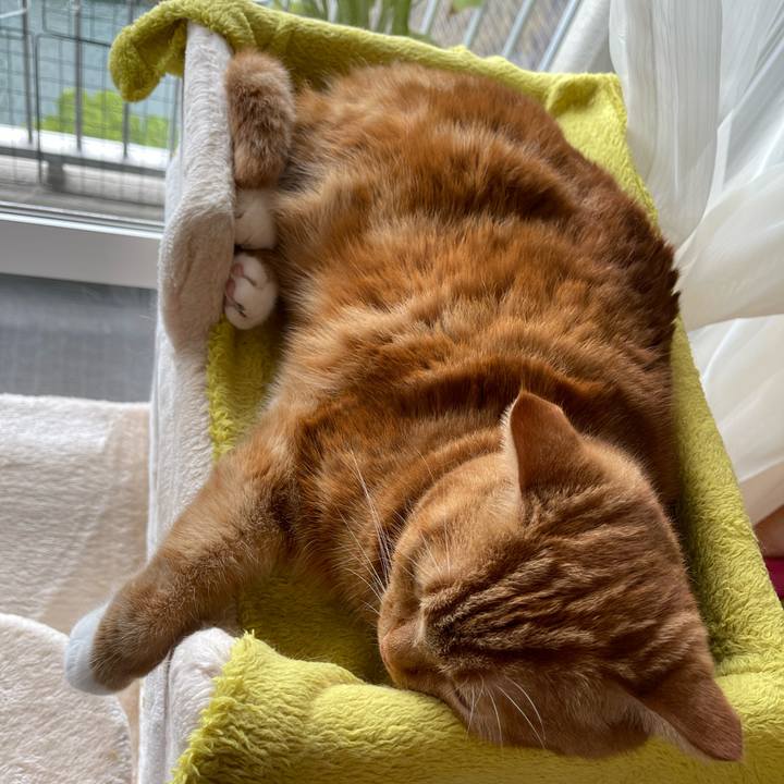 8c8dc3da 40d0 4756 bbde acd5748fd098 1661660934822